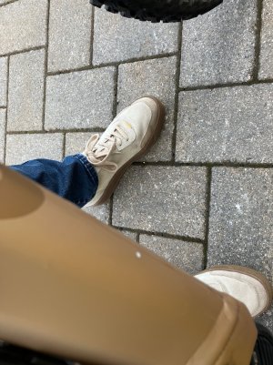 IMG_0452.jpeg