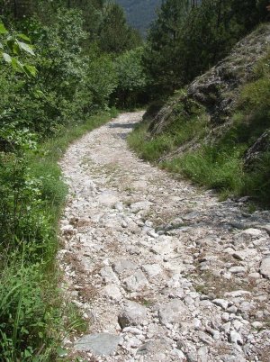 06 Limone 117.jpg