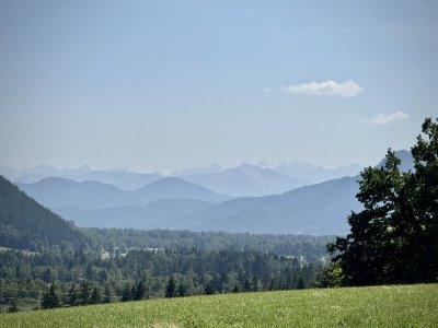 IMG_2905.jpeg