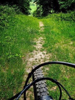 IMG_20250618_190122290_HDR~2.jpg