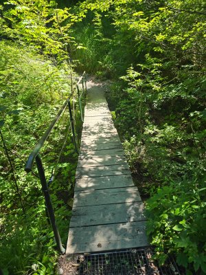 20250629_151001.jpg