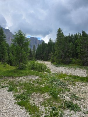 20250630_133754.jpg
