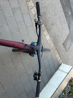 IMG_7728.jpeg