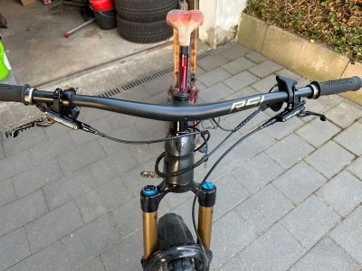IMG_7729.jpeg