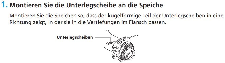 Bild.jpeg