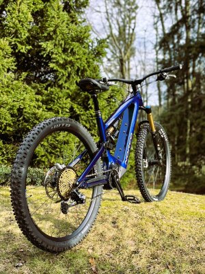 NORCO SIGHT VLT 01.jpg