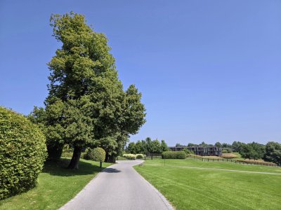 2743.jpg