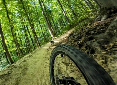 vf_dji_mimo_20250826_094004_0_1756201001642_video_89721~2.jpeg