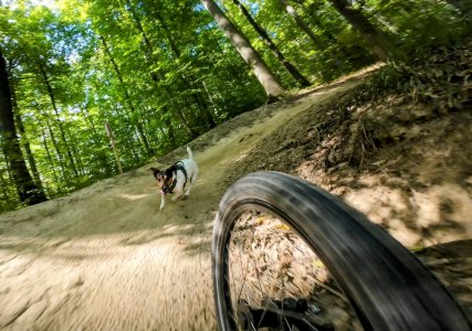 vf_dji_mimo_20250826_094004_0_1756201001642_video_122245~2.jpeg