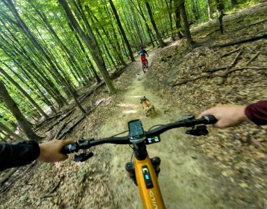 vf_dji_mimo_20250826_093628_0_1756200869244_video_43007~2.jpeg
