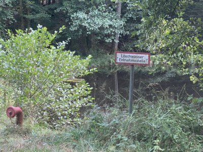 IMG_8930.jpeg