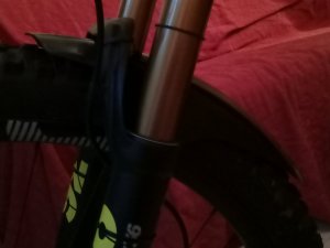 IMG_20191011_184137.jpg