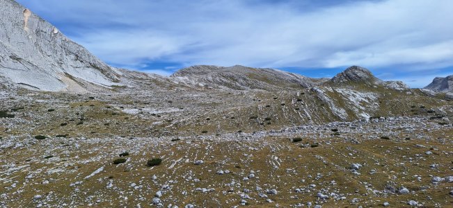 IMG_3387.jpeg