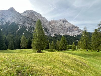 IMG_1559.jpeg