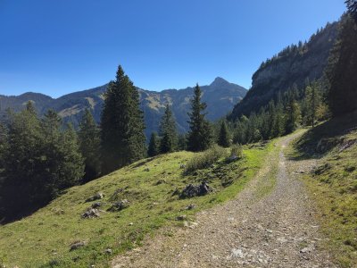 20250920_111845.jpg