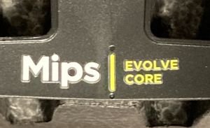 Mips.jpg