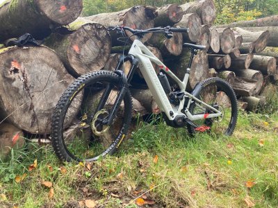 Crafty_Trail_1.jpg