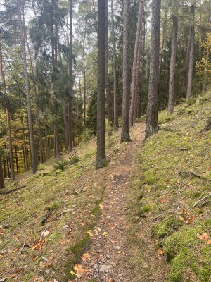 IMG_3446.jpeg