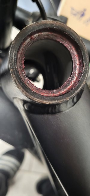 20251209_170404.jpg 20251209_170404.jpg