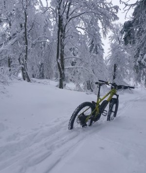 Screenshot 2025-12-29 152647.jpg