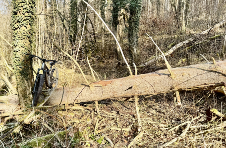 Bildschirmfoto 2026-01-21 um 19.15.09.png