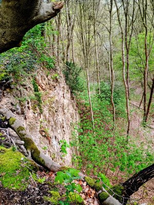 IMG_20260412_140807137_HDR~2.jpg