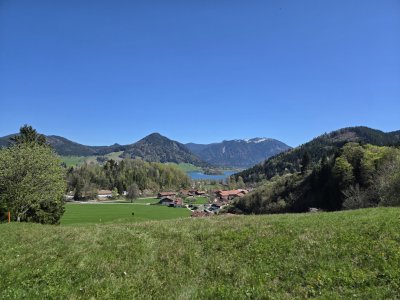 81e0ce80-3f8f-459e-b026-29109e87a954-1_all_41065.jpg