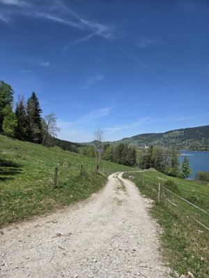 81e0ce80-3f8f-459e-b026-29109e87a954-1_all_41219.jpg