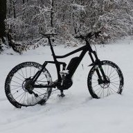 herbi53