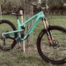 Damian-7
