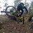 Trailmonkey