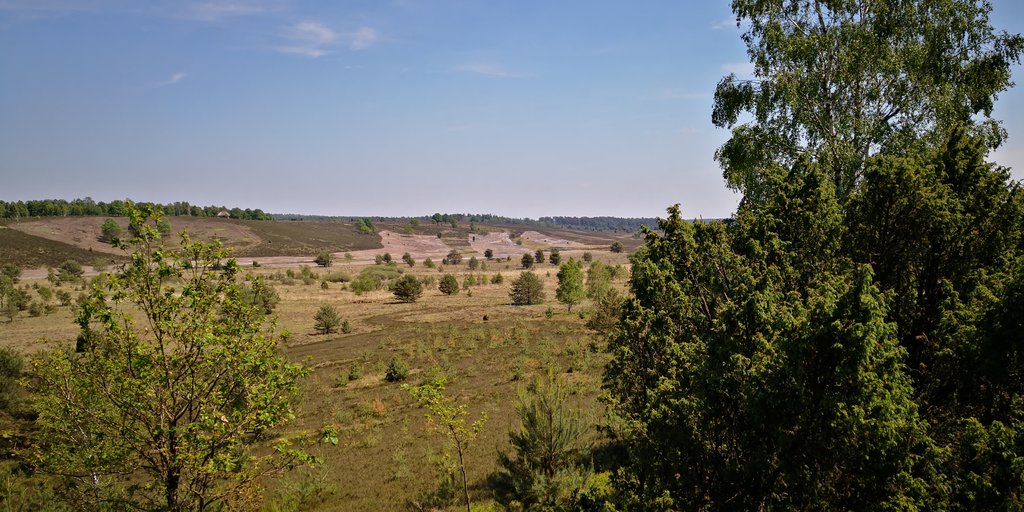 35897330df.jpg