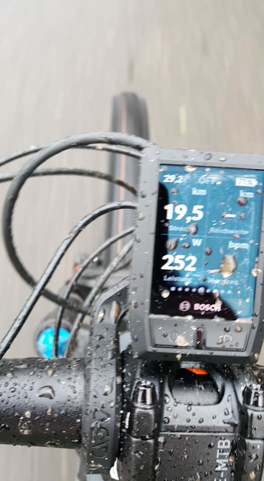 37498911kv.jpg