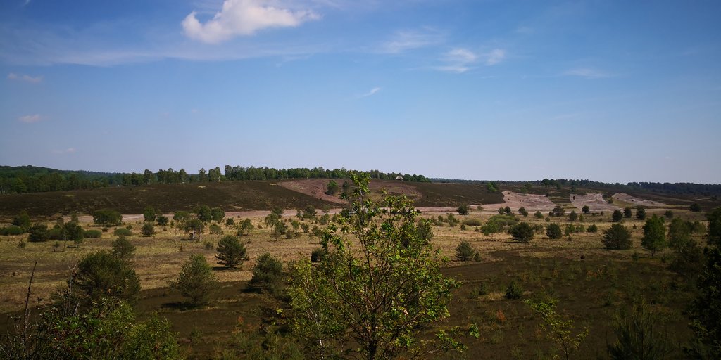 35897328os.jpg