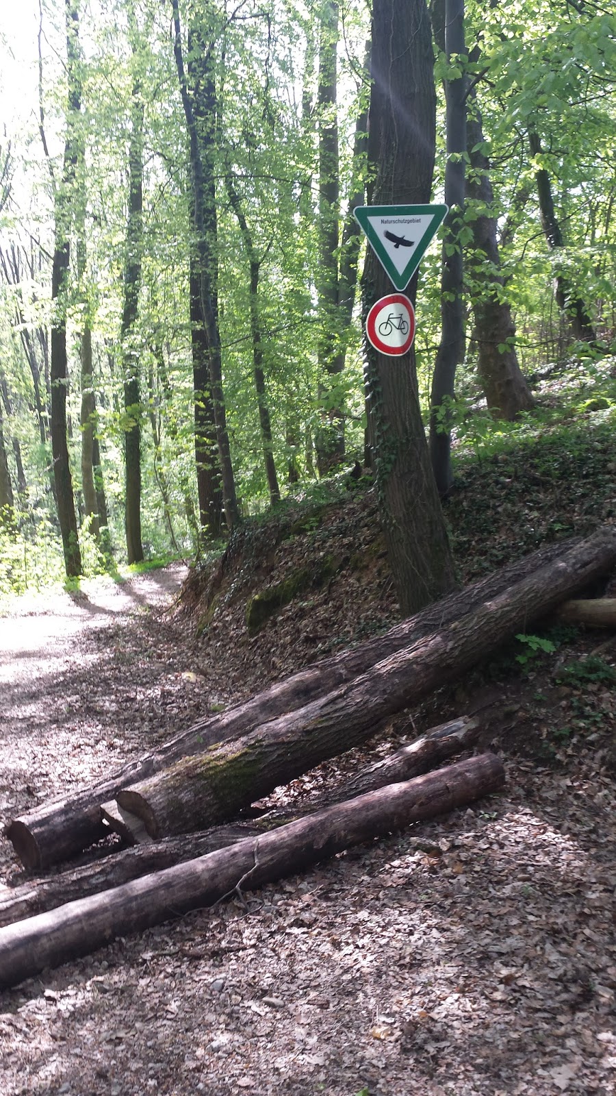 20150427_100757.jpg
