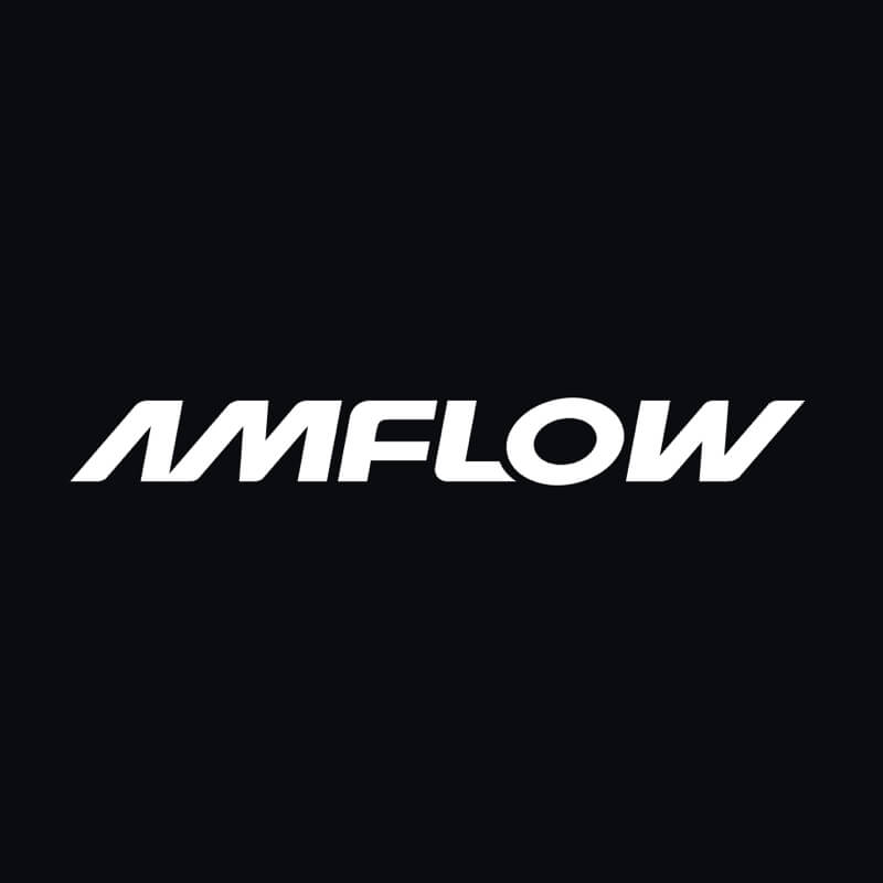 www.amflowbikes.com