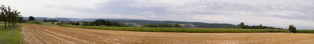 26562255sv.jpg