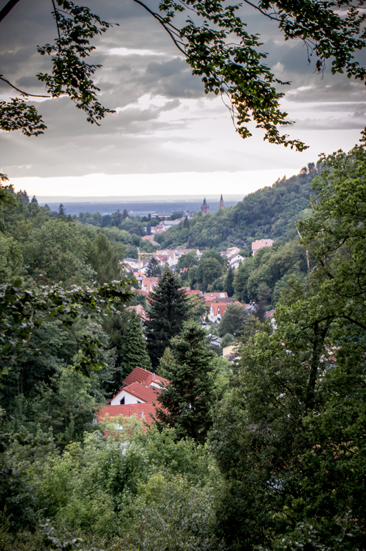 singletrails weinheim