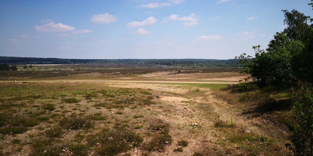 35897312ck.jpg