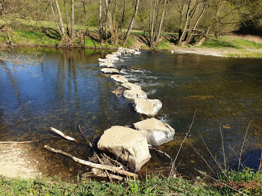 38315270ha.jpg