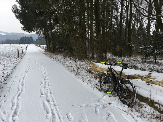 10543-06yhagbnrffh-freie_wildbahn_1-medium.jpg