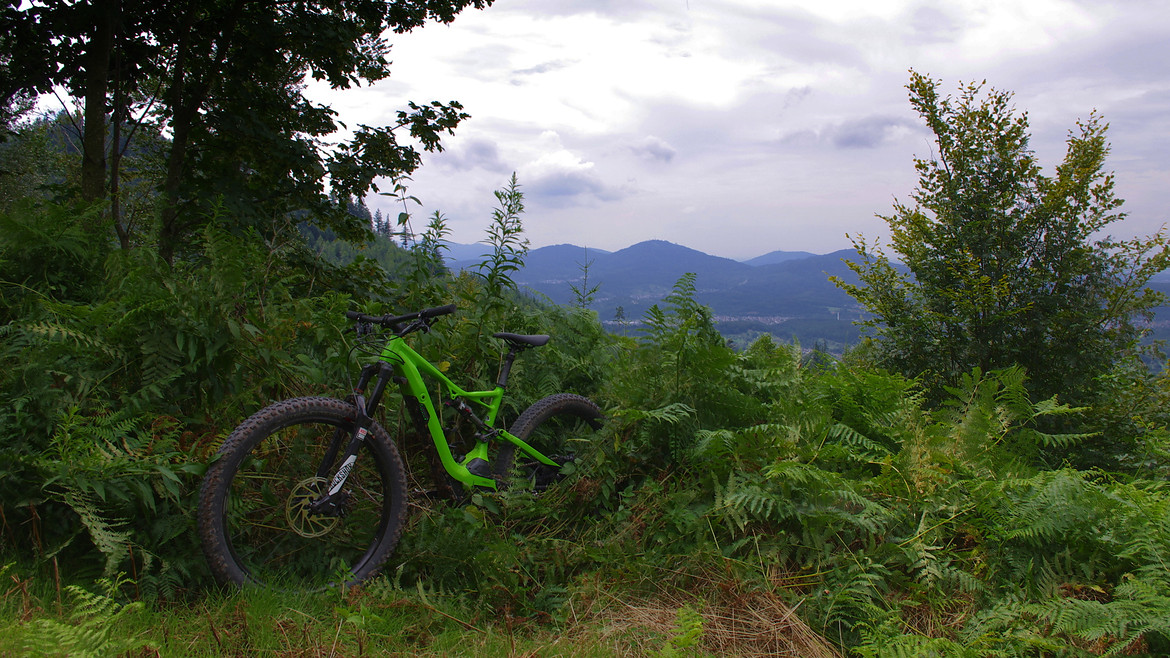 517-bia40x6tv90r-specializedturbolevofsrcomp_blickinsmurgtal-large.jpg