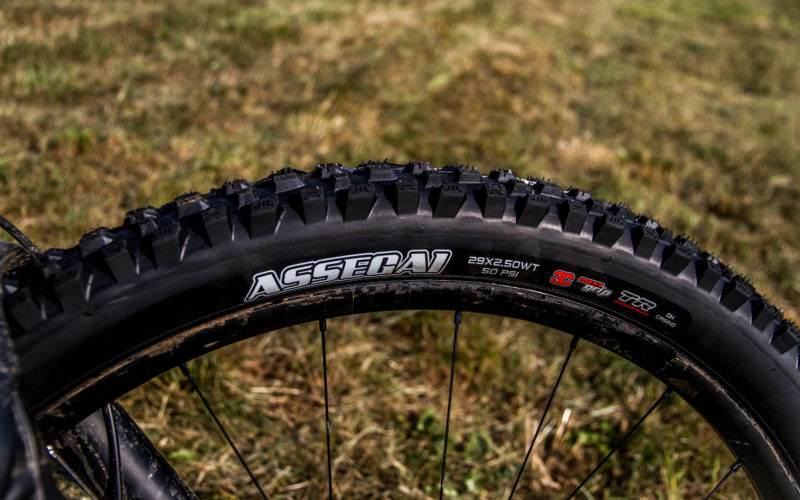 Maxxis Assegai und Minion DHR II im Test: Grobstolliges Duo für den perfekten Grip?