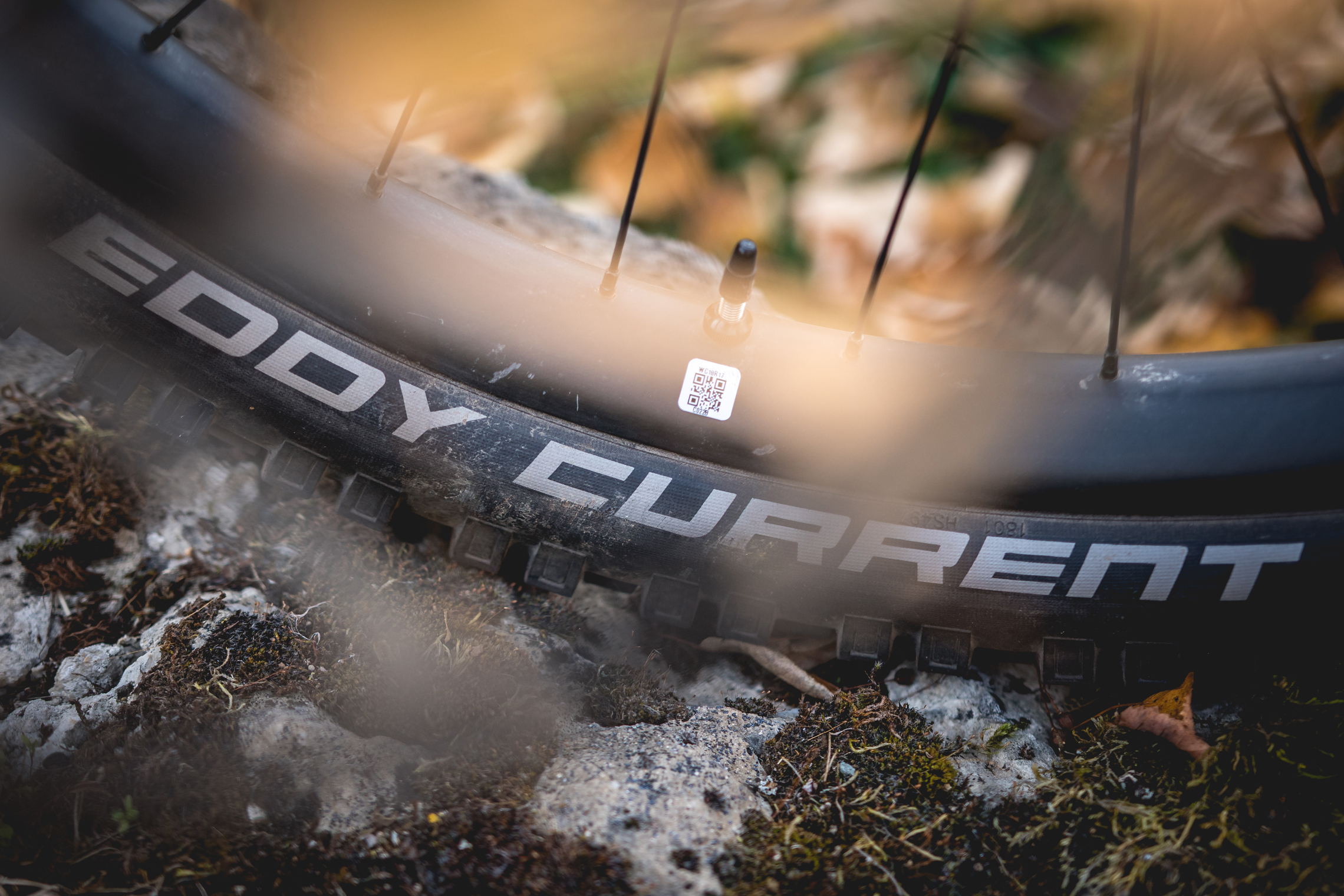 Schwalbe Eddy Current im Test: Was kann die neue eMTB-Reifenkombi von Schwalbe?