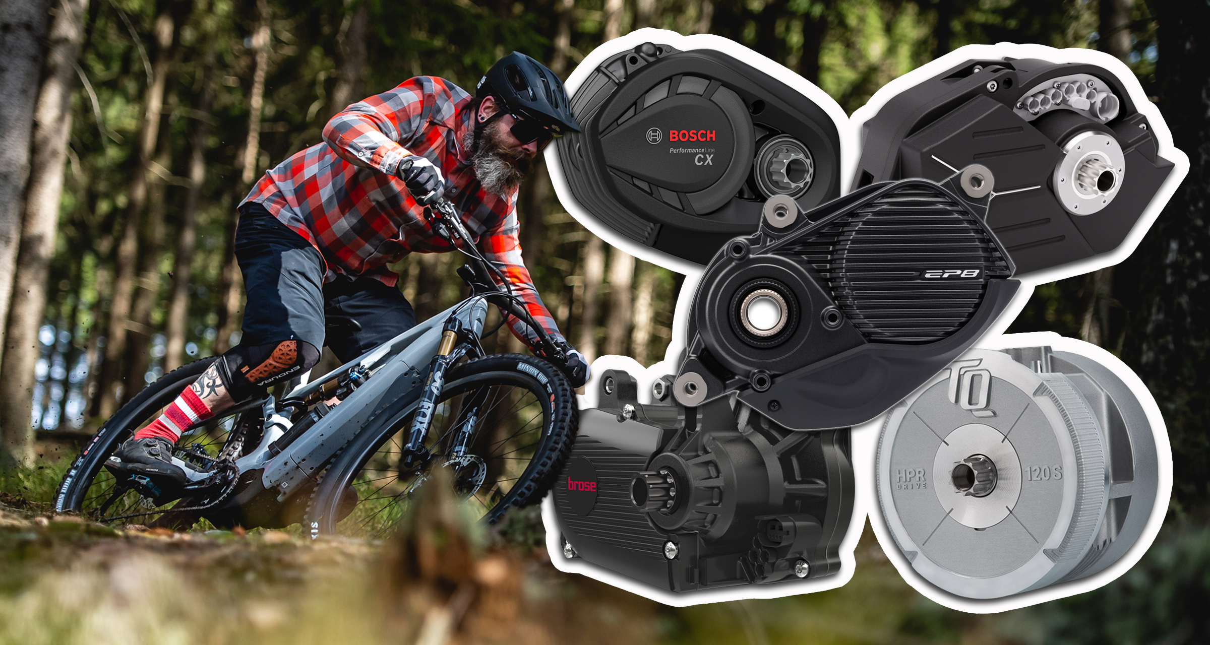 Welcher E-Bike Motor für wen? Bosch, Brose, Shimano & Yamaha im Vergleich