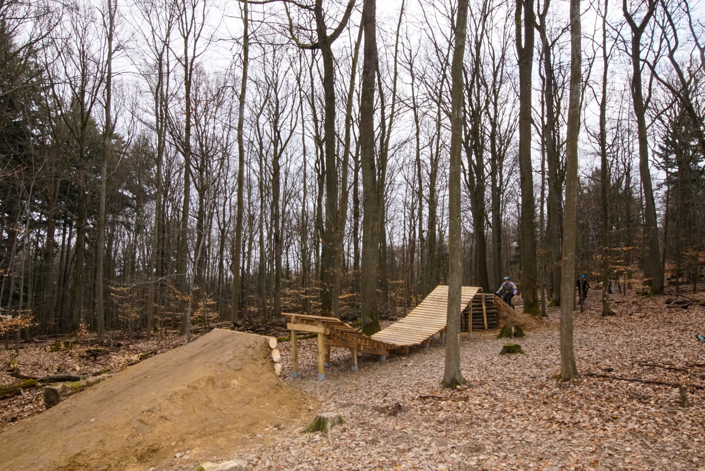 Friedwald statt Flowtrail: Flowtrail Stromberg vor dem Aus?