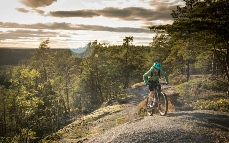 Auf Trailsuche in Schweden: Wenn man vor lauter Rentieren und Pilzen kaum zum Radeln kommt