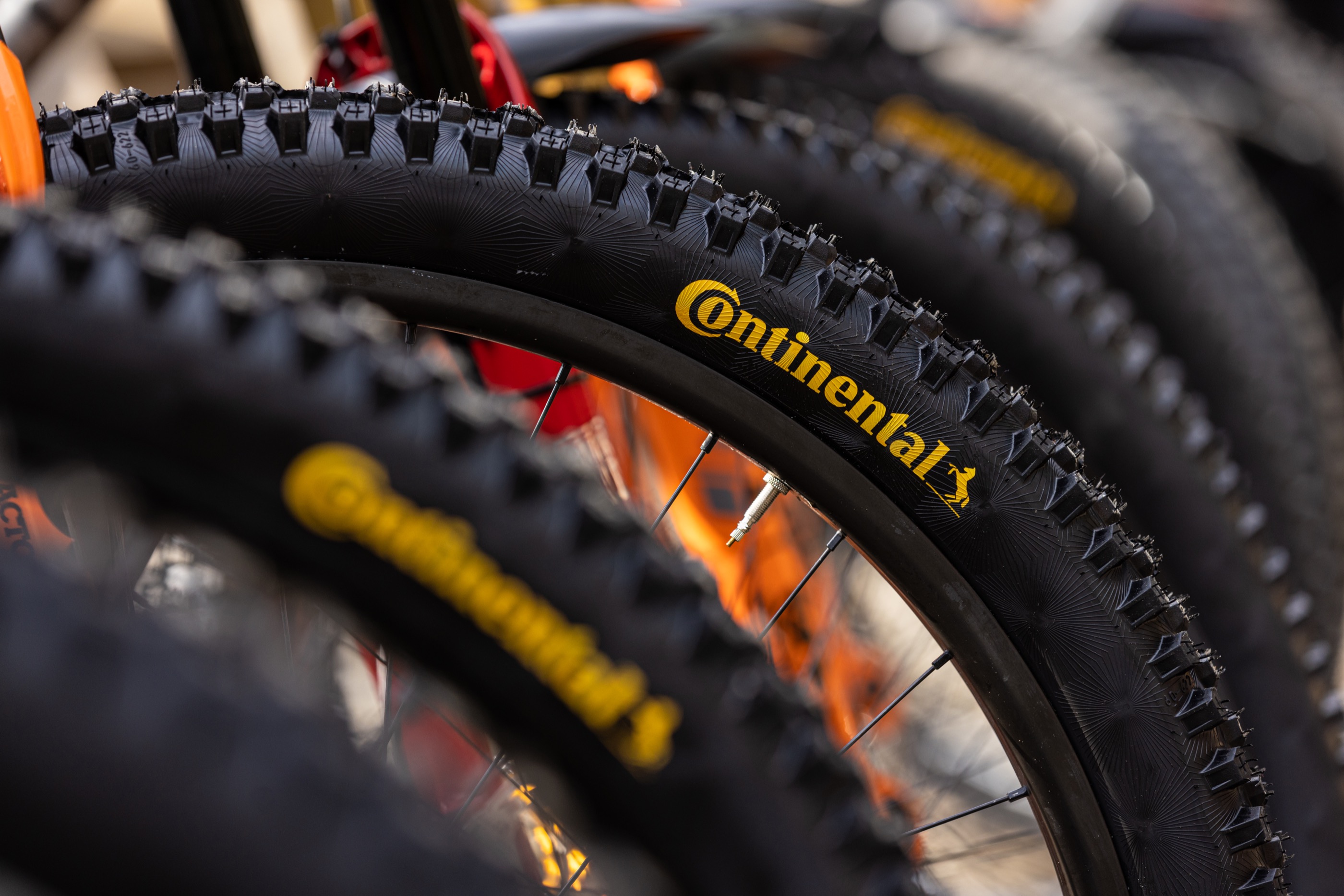 Neue Continental MTB Reifen Gravity Range: Der Kaiser ist tot, es lebe Gripology!