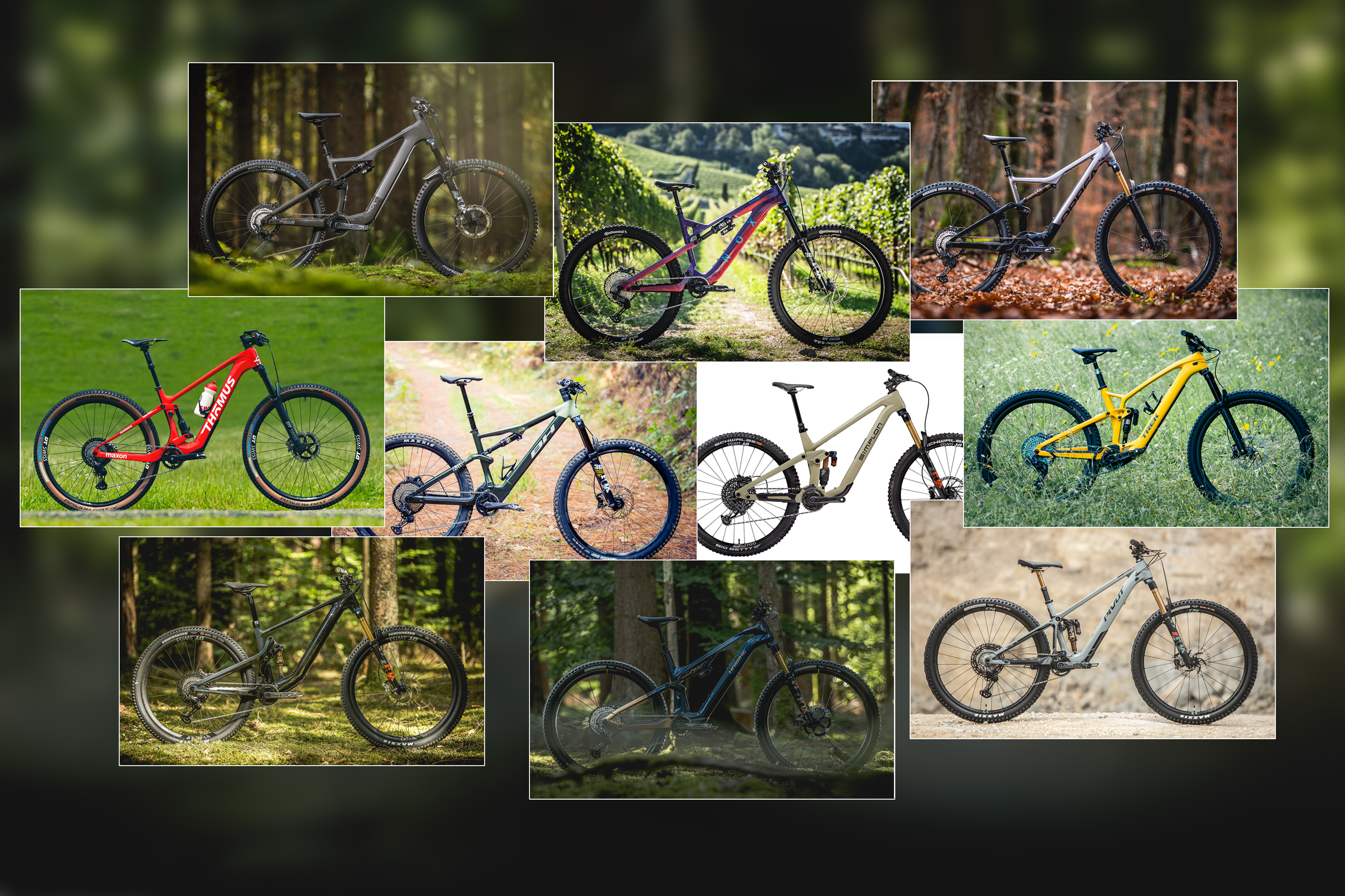 Die besten Light-E-MTBs 2023: 10 leichte E-Bikes im Überblick