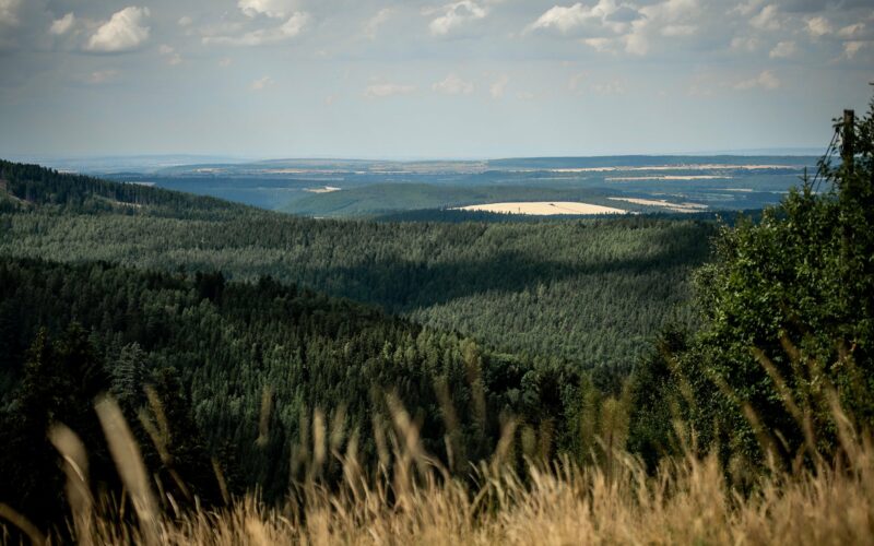 Mountainbiken im Thüringer Wald 2022: Trailparks lassen auf sich warten